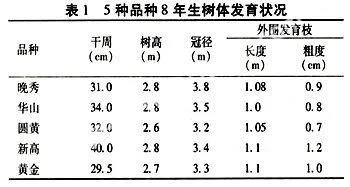 黄河三角洲盐碱地梨新品种引种比较试验