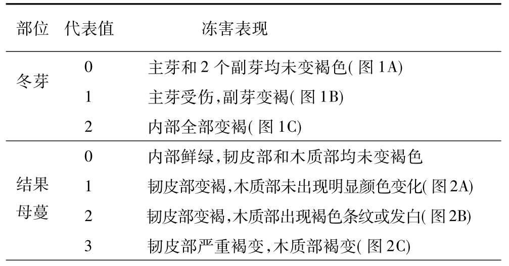 2016年山东地区葡萄冻害调查分析