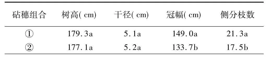 不同砧木对烟富6苹果生长结果的影响