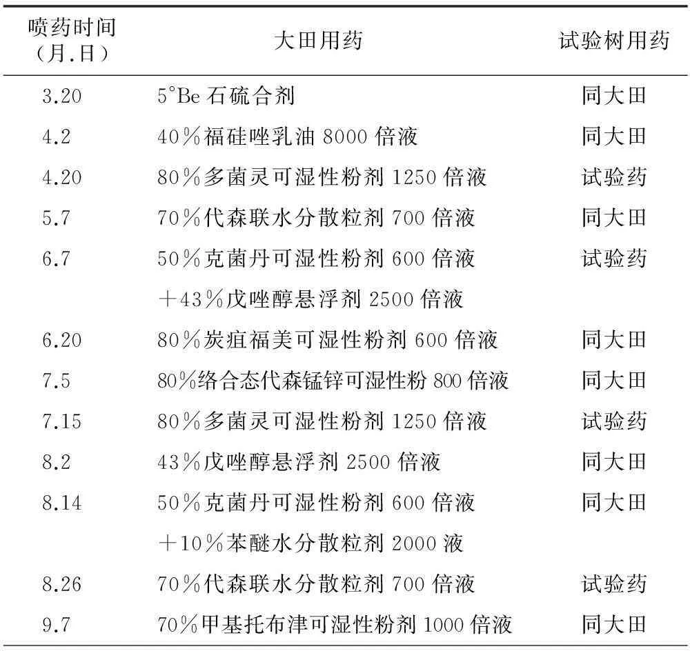 60%百泰防治梨炭疽病的田间药效试验