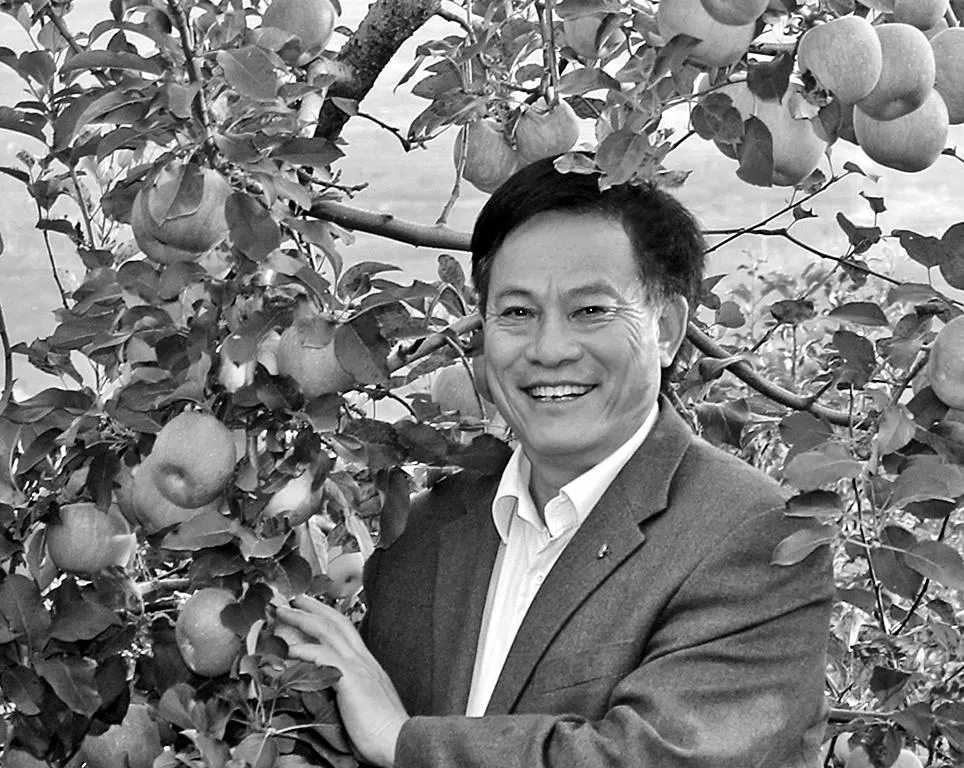 山东省苹果“卖果难”问题调研及相关建议