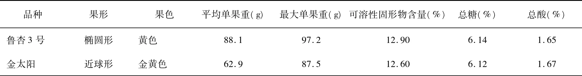 早熟杏新品系鲁杏3号的选育