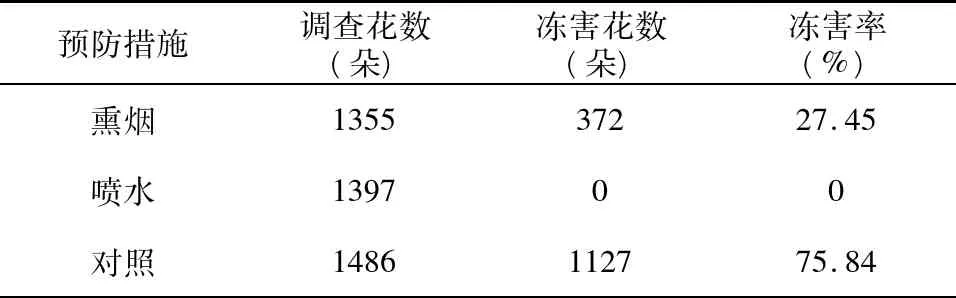 砀山酥梨花期防霜冻措施试验与冻害情况调查
