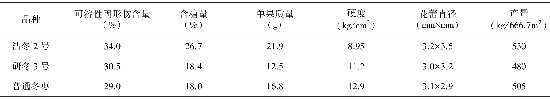 沾冬2号冬枣改接表现及栽培技术