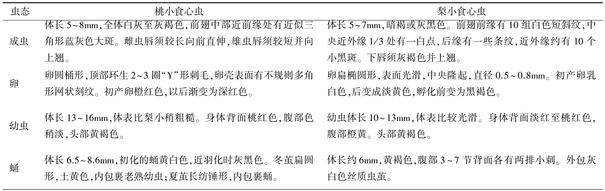 苹果主要食心虫的发生特点与科学防治技术