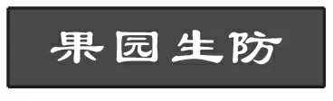 果园害虫天敌(一)—昆虫病原线虫