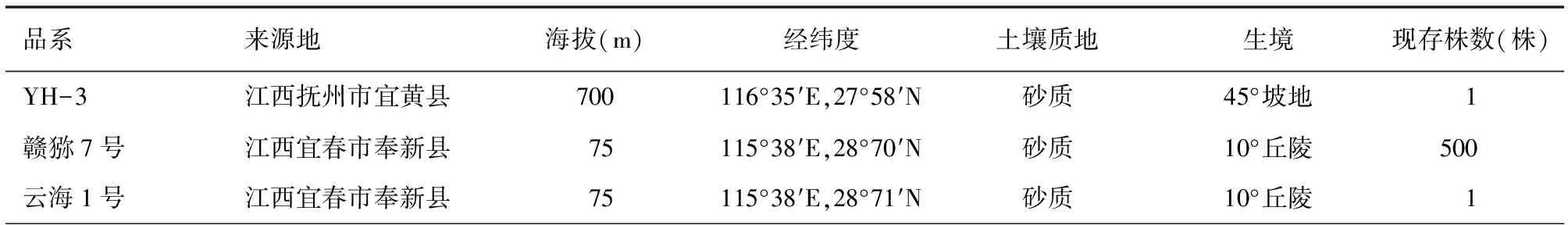 3个猕猴桃农家品系在郑州的引种表现初报