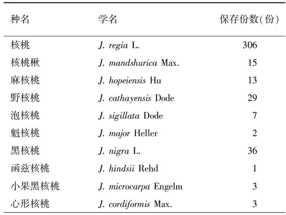 核桃种质资源工作现状与展望