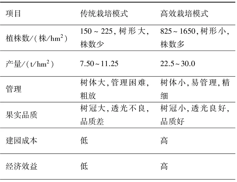 山楂的高效栽培模式