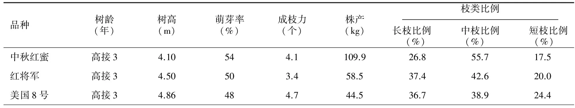 中秋红蜜苹果的性状表现及栽培技术要点
