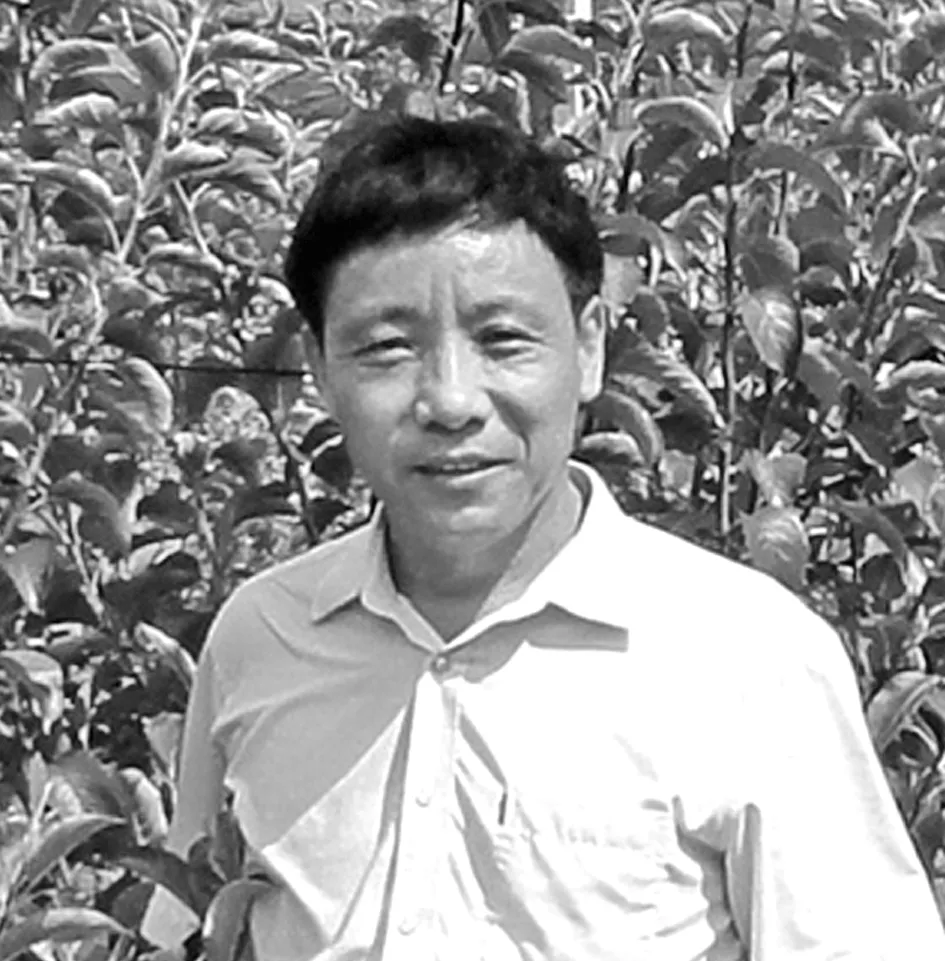苹果产业大数据应用体系架构设计
