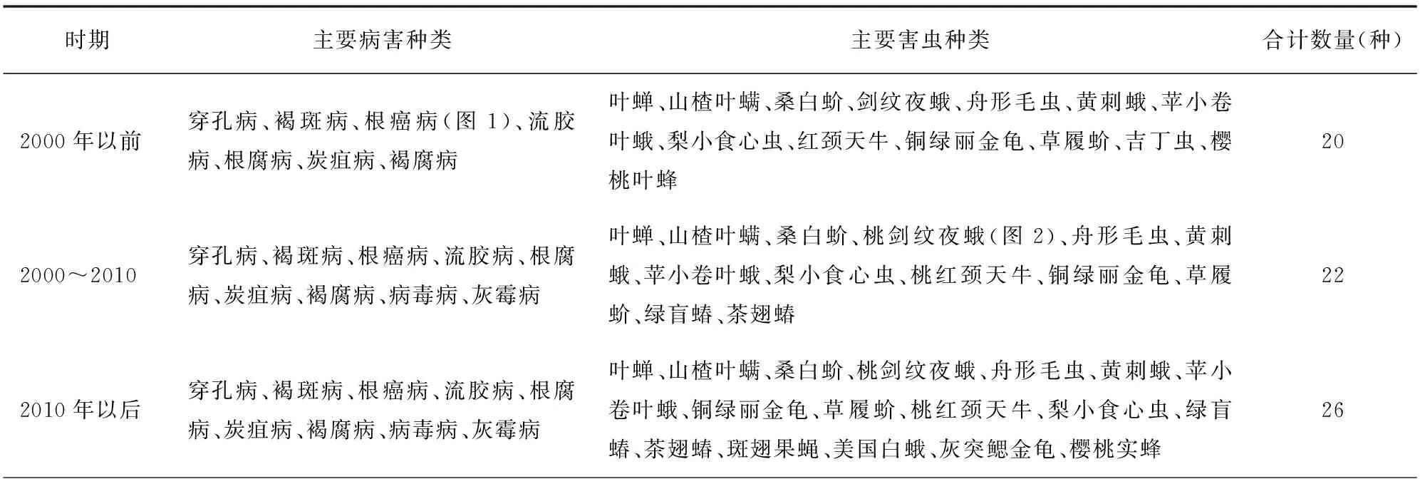 甜樱桃病虫害的发生动态与防控对策