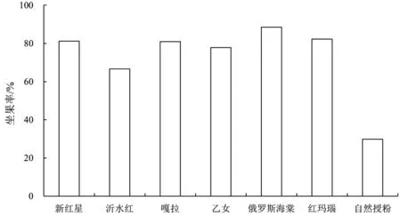 不同品种授粉对鲁丽苹果坐果及果实品质的影响