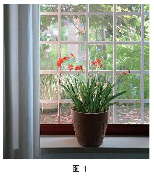 切花自由，绿植饰家