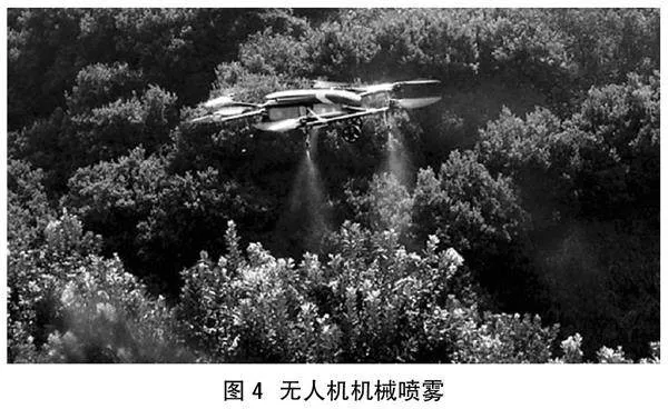 林业育苗技术与病虫害防治技术的应用研究