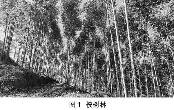 现代林业造林方法及营林生产技术