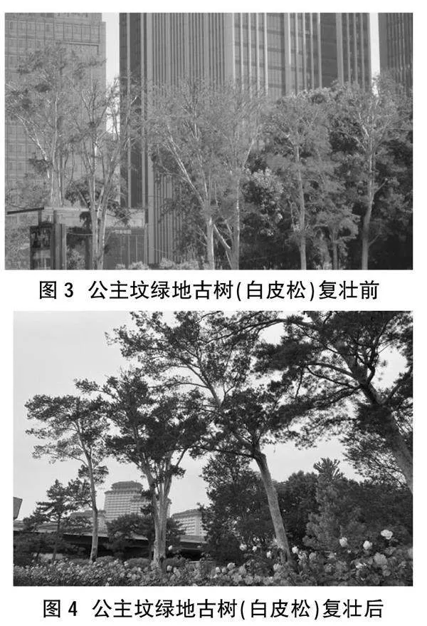 浅谈公主坟绿地养护管理创新技术的应用