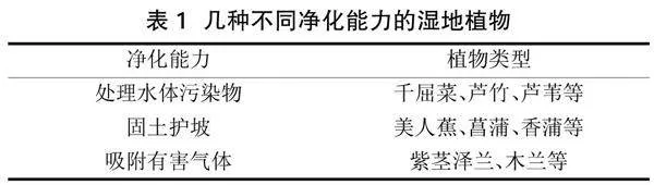 湿地公园植物景观营造设计分析