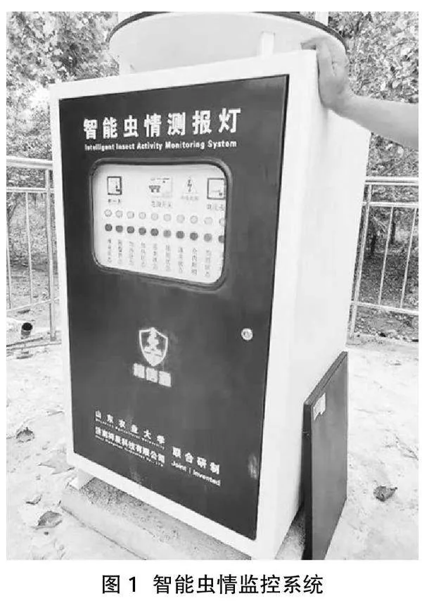 新时期加强营林工作中森林病虫害防治的对策