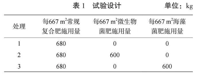 施用菌肥对哈密瓜产量、品质及土壤养分的影响