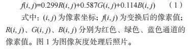 基于图像识别技术的桉树病虫害识别研究