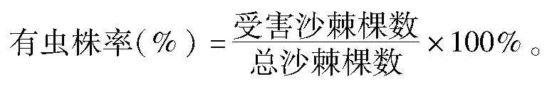 两种沙棘钻蛀性害虫发生与危害分析