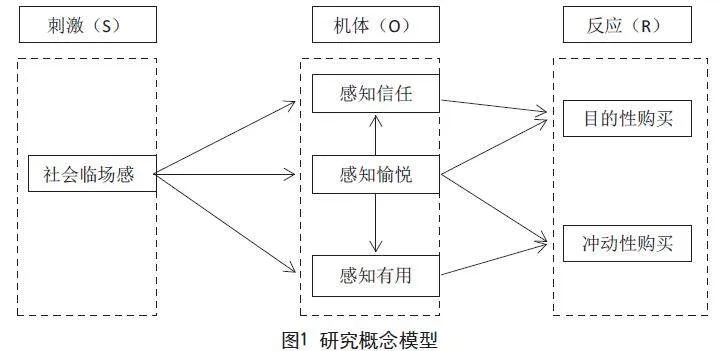 直播中社会临场感对消费者购买行为的影响机制研究