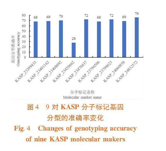 甜瓜抗霜霉病KASP分子标记的开发与验证
