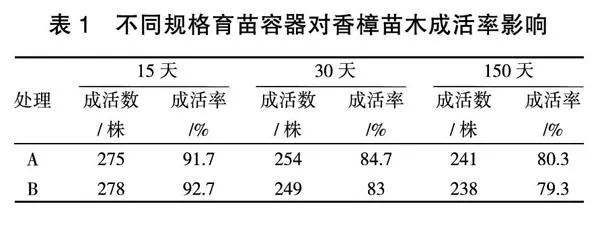 2种规格育苗容器袋对油用香樟幼苗生长的影响