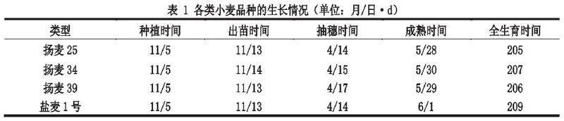 苏中稻麦轮作区小麦产量品质效益协同秋播关键技术