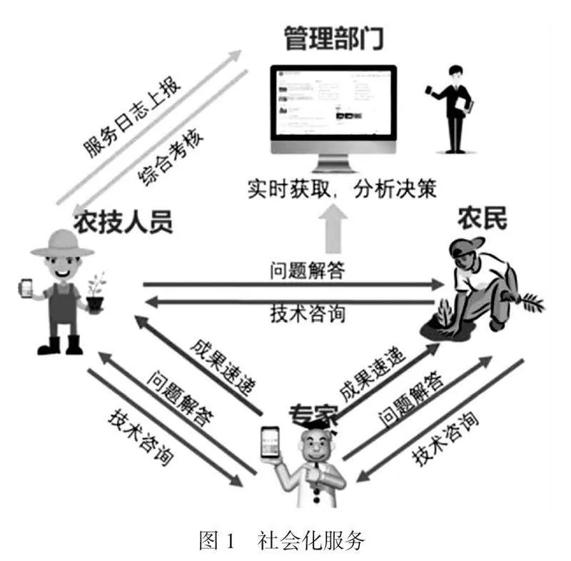 探索周口玉米机械种植技术创新策略推广应用模式